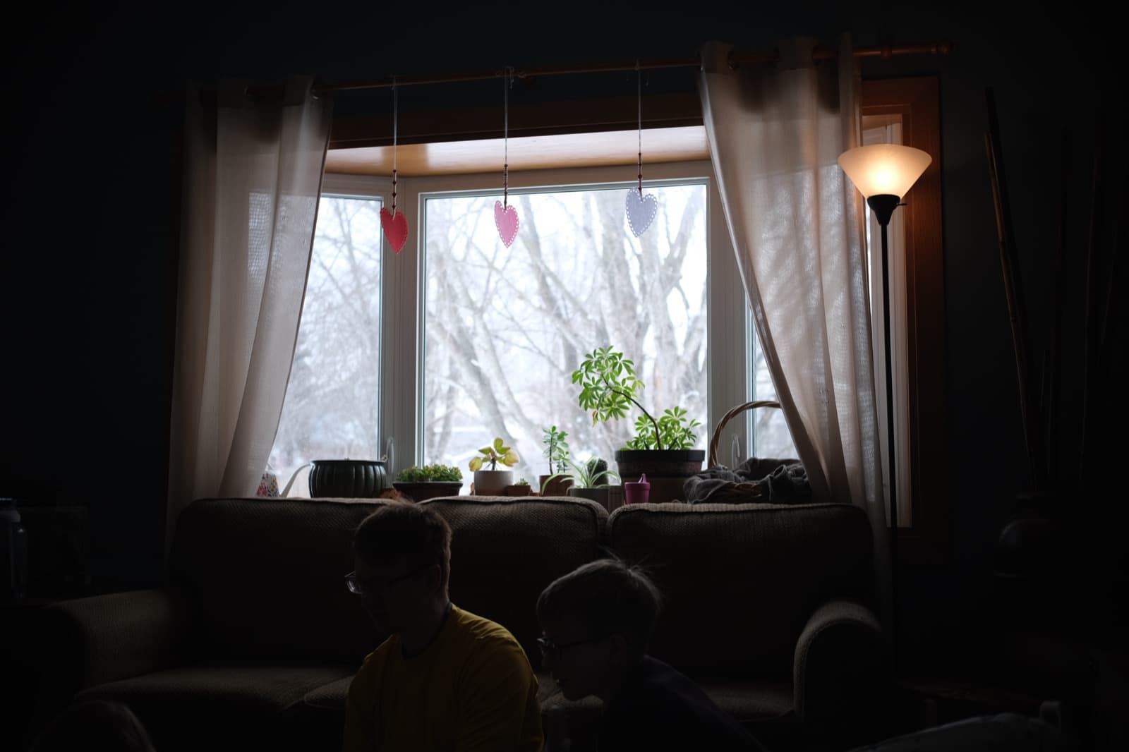 Winter morning in Minnesota